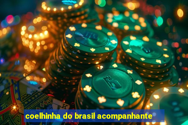 coelhinha do brasil acompanhante